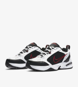 NİKE AIR MONARCH IV 415445 101
