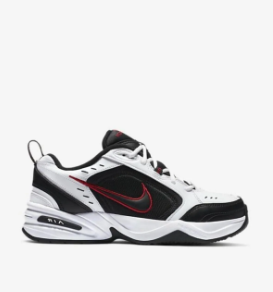 NİKE AIR MONARCH IV 415445 101